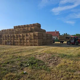 Farma czech beef Březí u mikulova