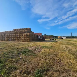 Farma czech beef Březí u mikulova