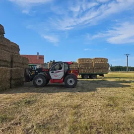 Farma czech beef Březí u mikulova