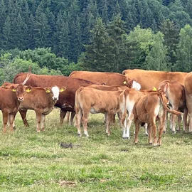 Farma Nové Zvolání v Krušných horách